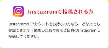 Instagramで投稿される方