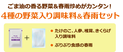 4種の野菜入り調味料＆春雨セット