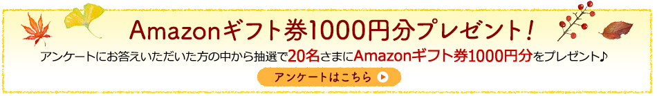 アンケートキャンペーン実施中！