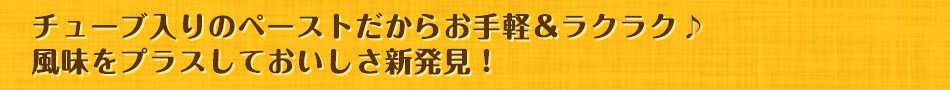 チューブ入りのペーストだからお手軽＆ラクラク♪風味をプラスしておいしさ新発見！