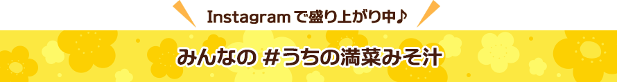 Instagramでも盛り上がり中♪みんなの#うちの満菜みそ汁