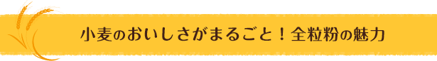 小麦のおいしさがまるごと！全粒粉の魅力