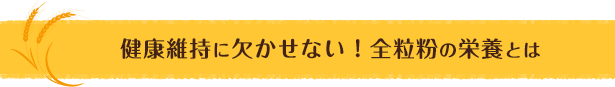 健康維持に欠かせない！全粒粉の栄養とは