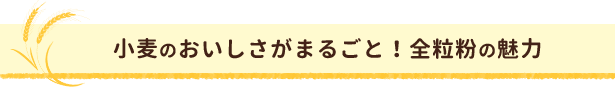 小麦のおいしさがまるごと！全粒粉の魅力