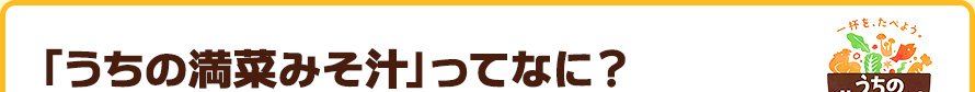 「うちの満菜みそ汁」ってなに？