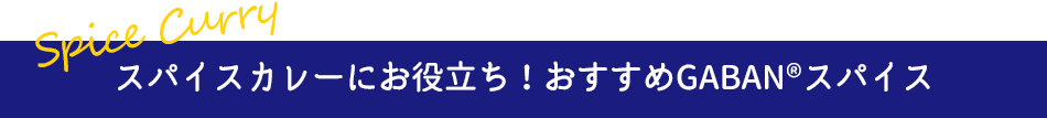 スパイスカレーにお役立ち！おすすめGABAN®スパイス