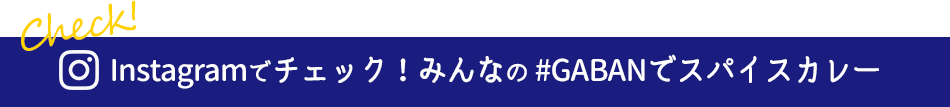 Instagramでチェック！みんなの #GABANでスパイスカレー