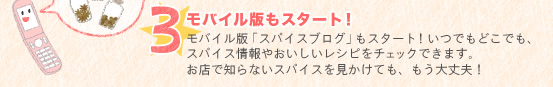 3.ХǤ⥹ȡ