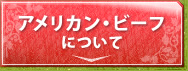 ꥫ󡦥ӡդˤĤ