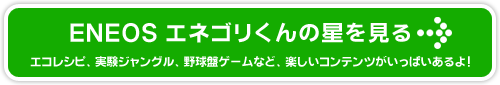 ENEOS ͥ꤯򸫤