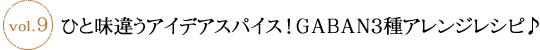 Ҥ̣㤦ǥѥGABAN3異󥸥쥷Ԣ